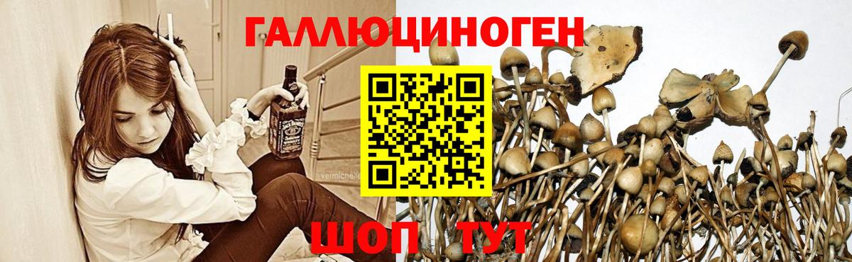 Нефтекамск  Галлюциногенные грибы ЛСД  Вход с VPN 